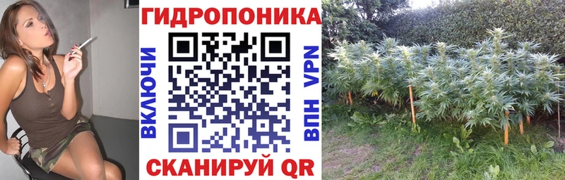 Как найти наркотики Верхняя Пышма АМФ  Канабис  Мефедрон  Гашиш 