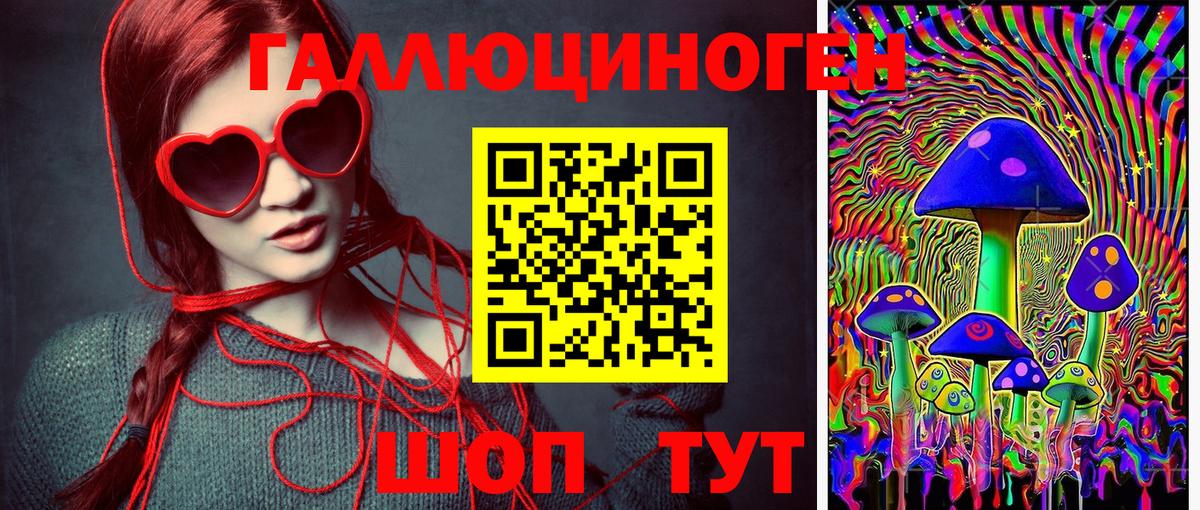 Псилоцибиновые грибы GOLDEN TEACHER  Верхняя Пышма 