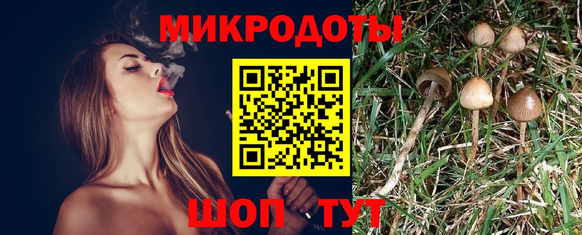 Псилоцибиновые грибы мухоморы  Вход с VPN  Галлюциногенные грибы ЛСД  Верхняя Пышма 