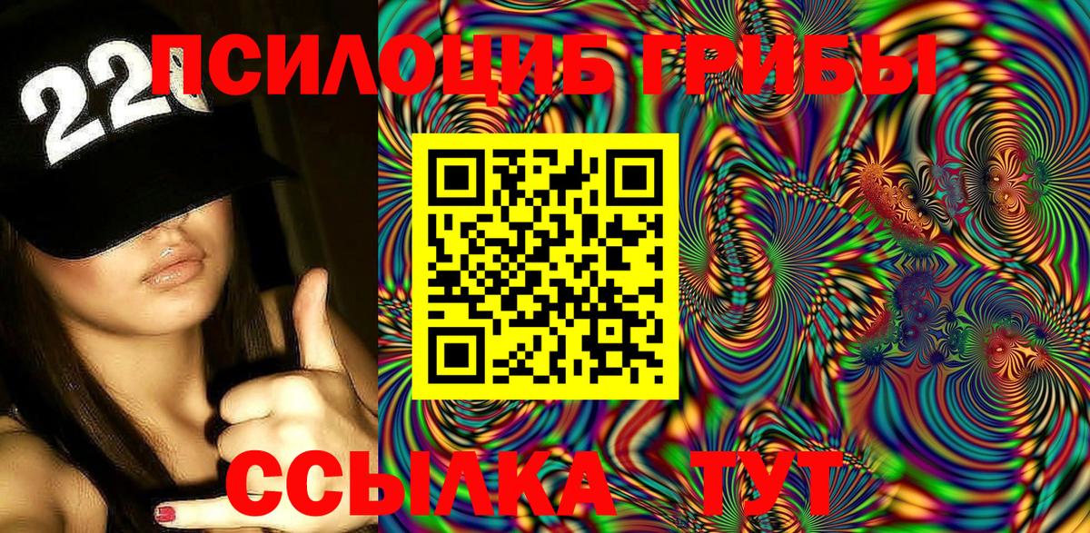 Галлюциногенные грибы Cubensis Верхняя Пышма