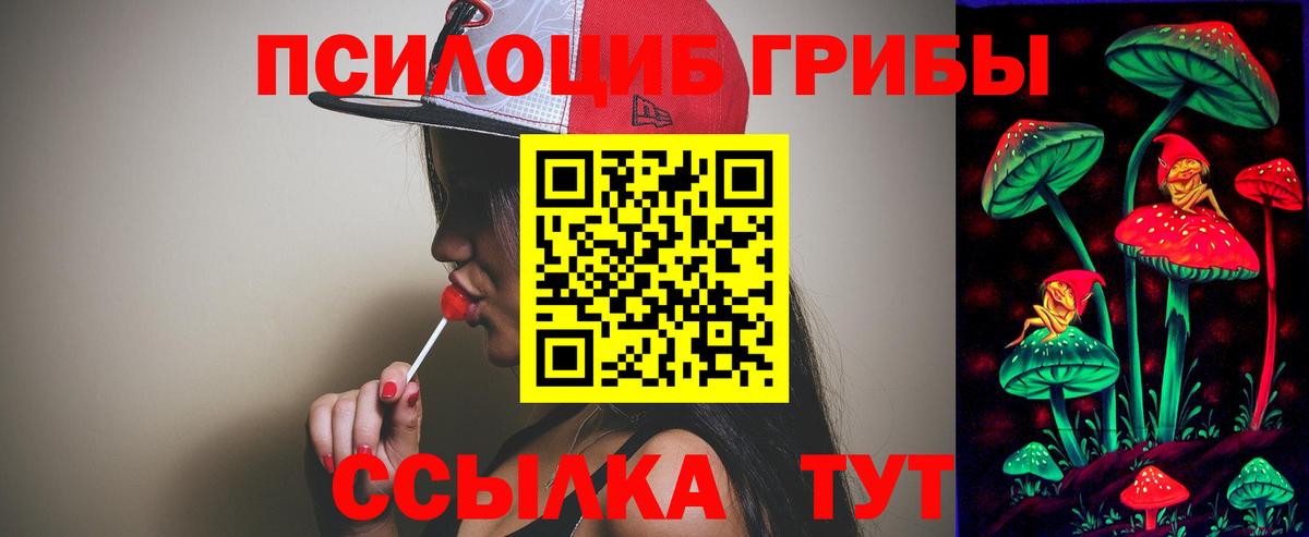 Псилоцибиновые грибы Psilocybe Верхняя Пышма